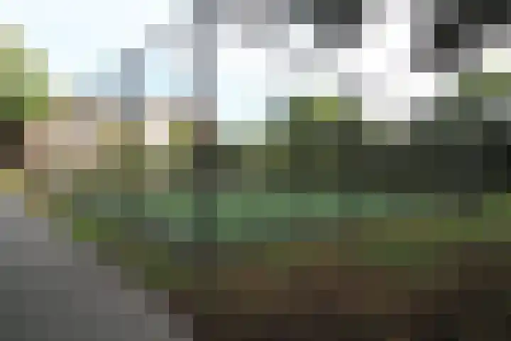 Aalborgpad 16 Rotterdam thumbnail 40