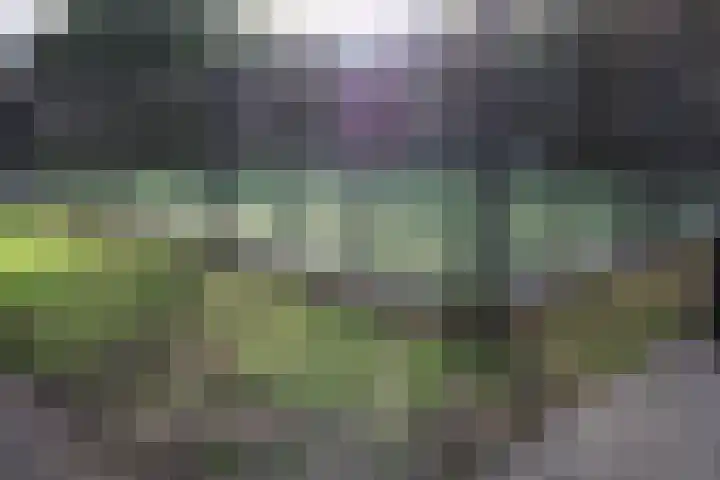 Aalborgpad 16 Rotterdam thumbnail 41