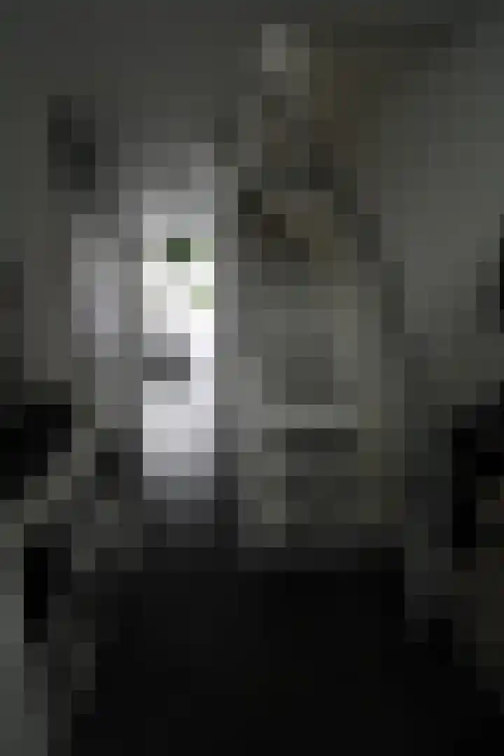 Aalborgpad 16 Rotterdam thumbnail 5