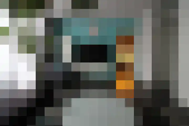 Aalborgpad 16 Rotterdam thumbnail 9