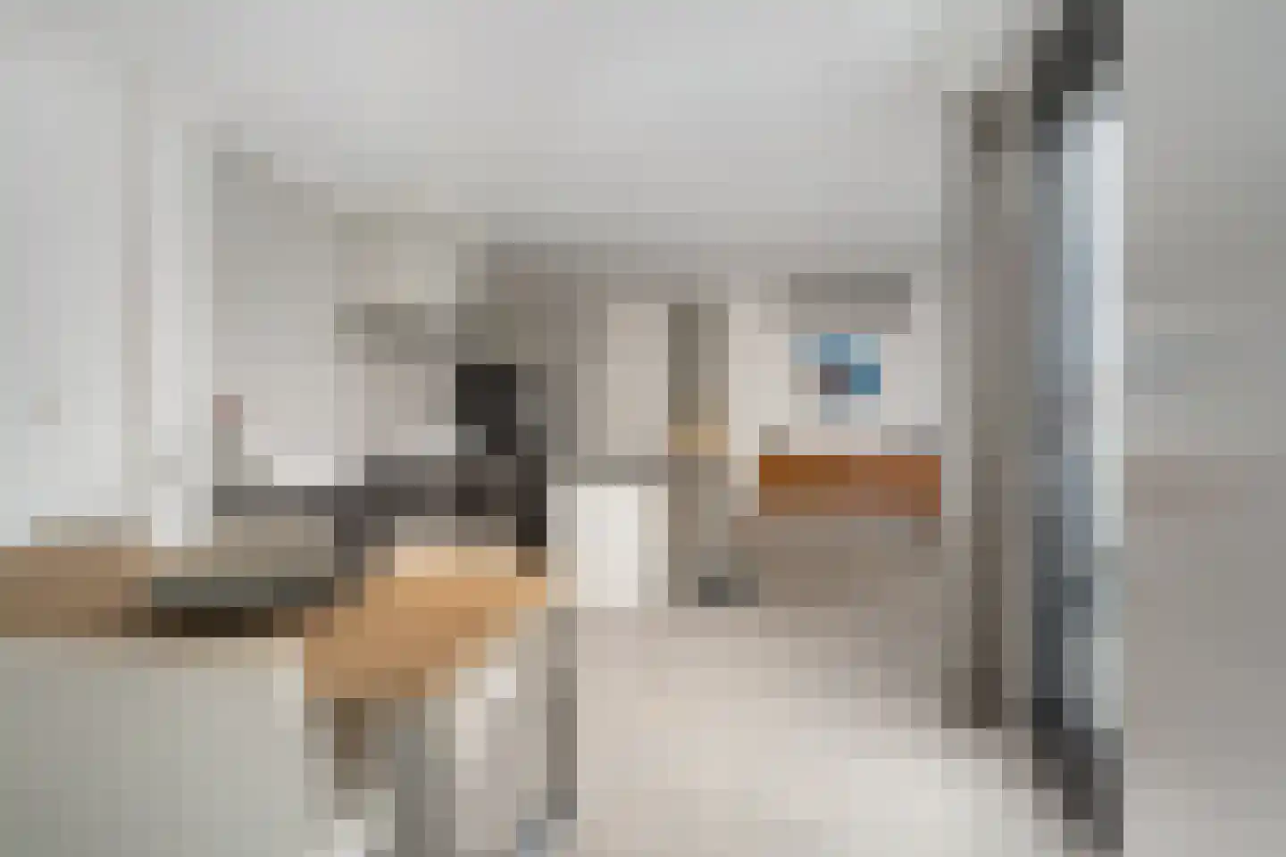 Aalbrecht van Beijerenstraat 5 Hellevoetsluis thumbnail 16