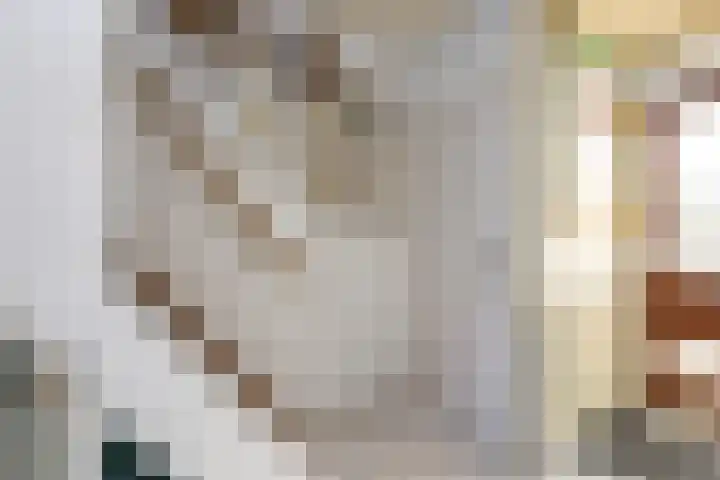 Aalbrecht van Beijerenstraat 64 Hellevoetsluis thumbnail 4
