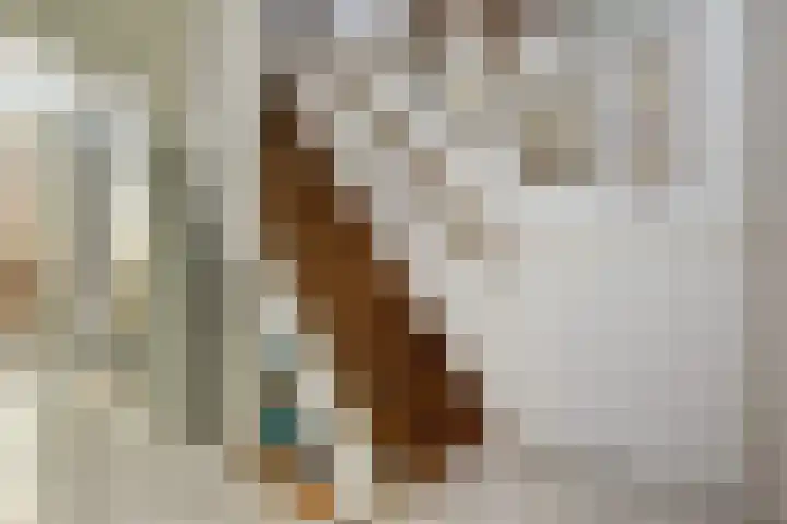 Aalbrecht van Beijerenstraat 64 Hellevoetsluis thumbnail 6