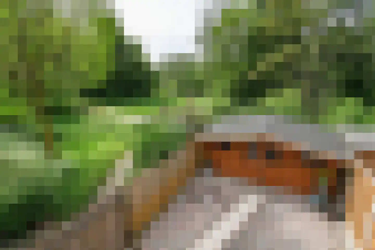 Aalburgstraat 100 Arnhem thumbnail 5