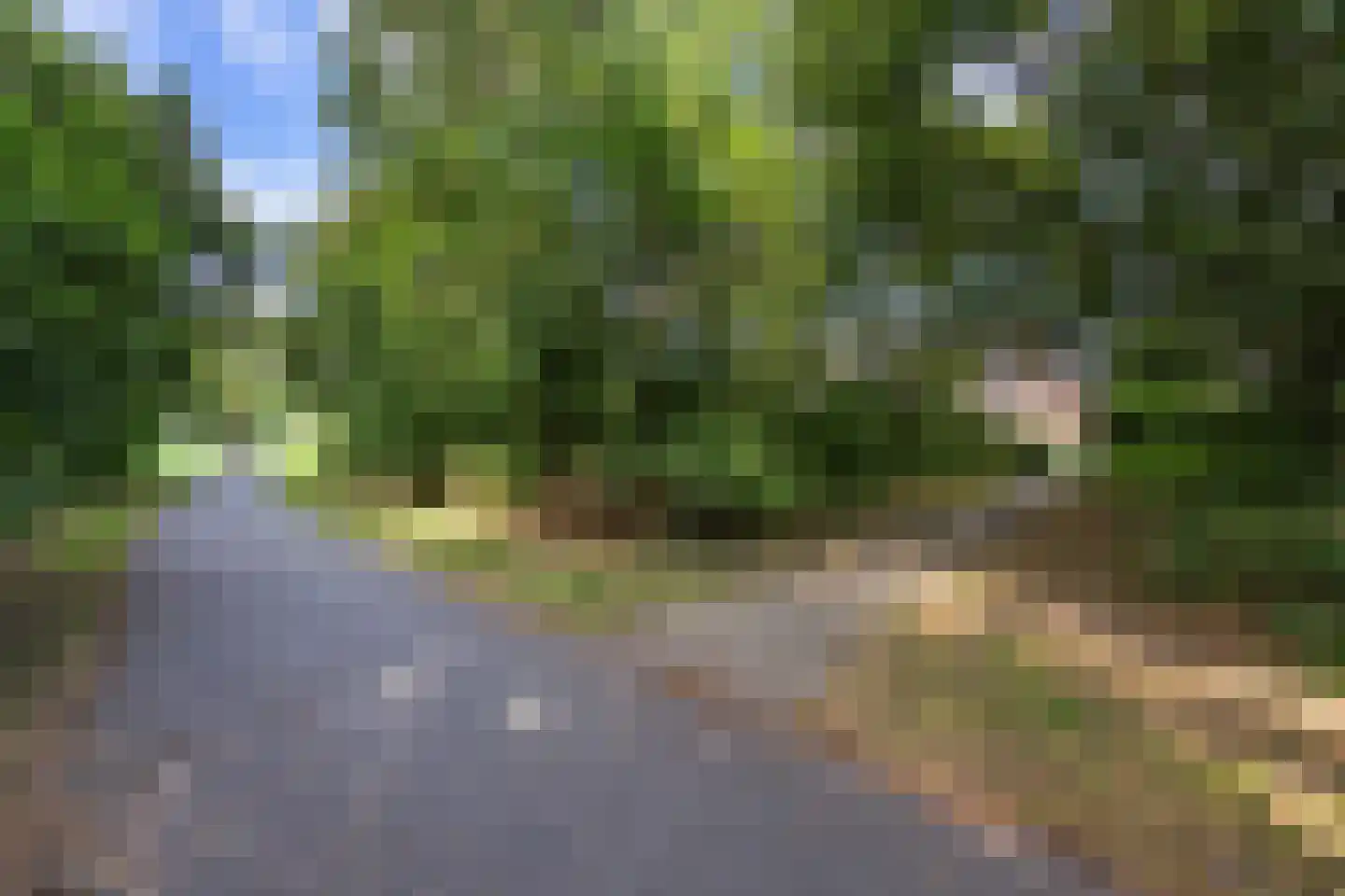 Aalburgstraat 116 Arnhem thumbnail 45