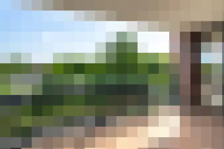 Aalderinkshof 114 Almelo thumbnail 20