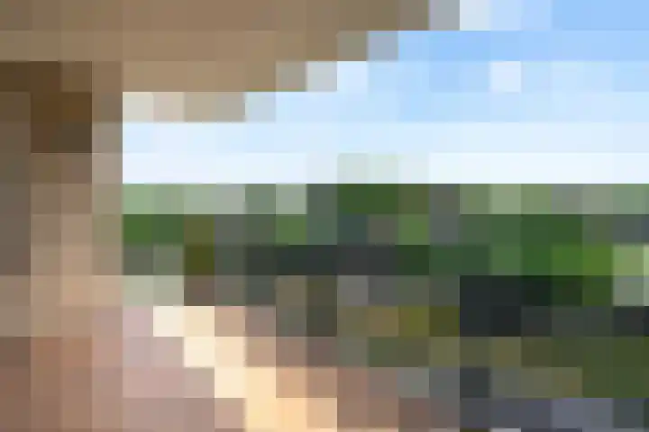 Aalderinkshof 114 Almelo thumbnail 21