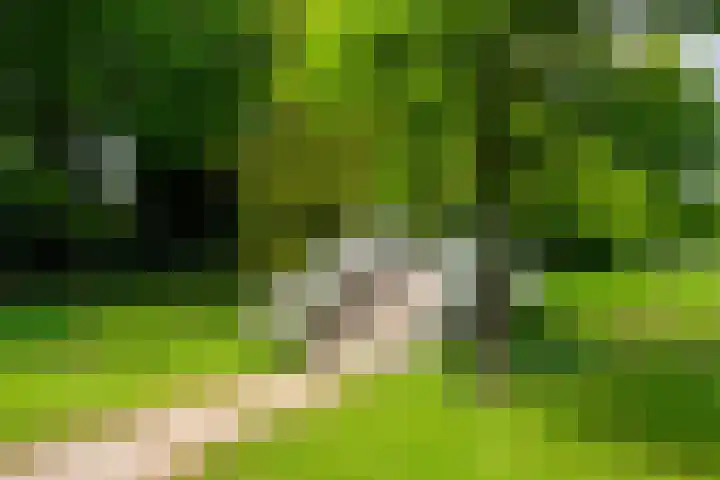 Aalderinkshof 114 Almelo thumbnail 32