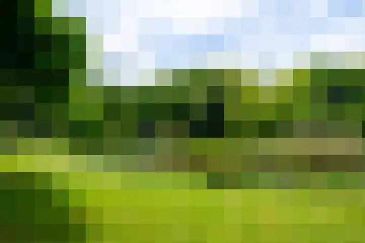 Aalderinkshof 114 Almelo thumbnail 33