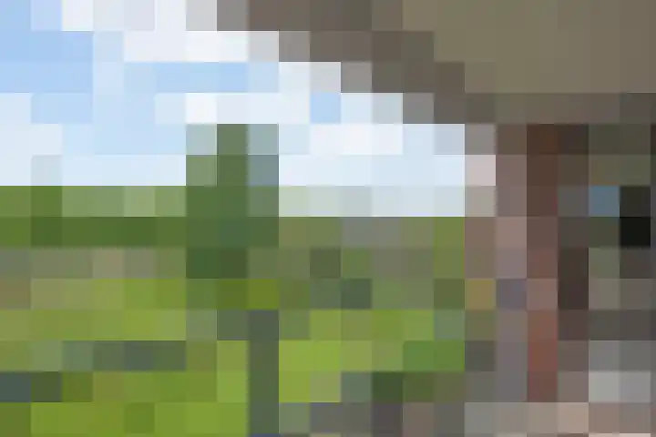 Aalderinkshof 92 Almelo thumbnail 7