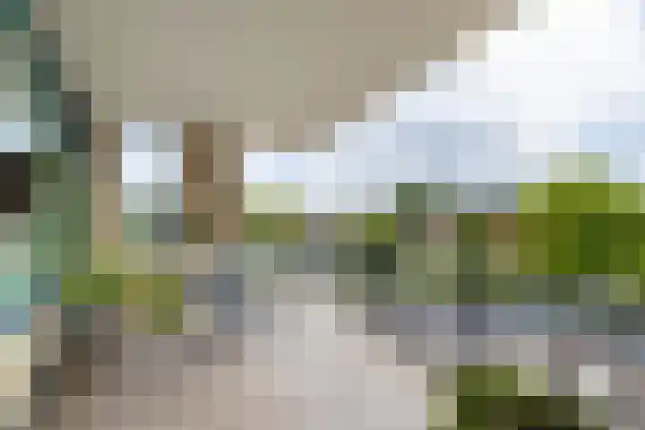 Aalderinkshof 98 Almelo thumbnail 20