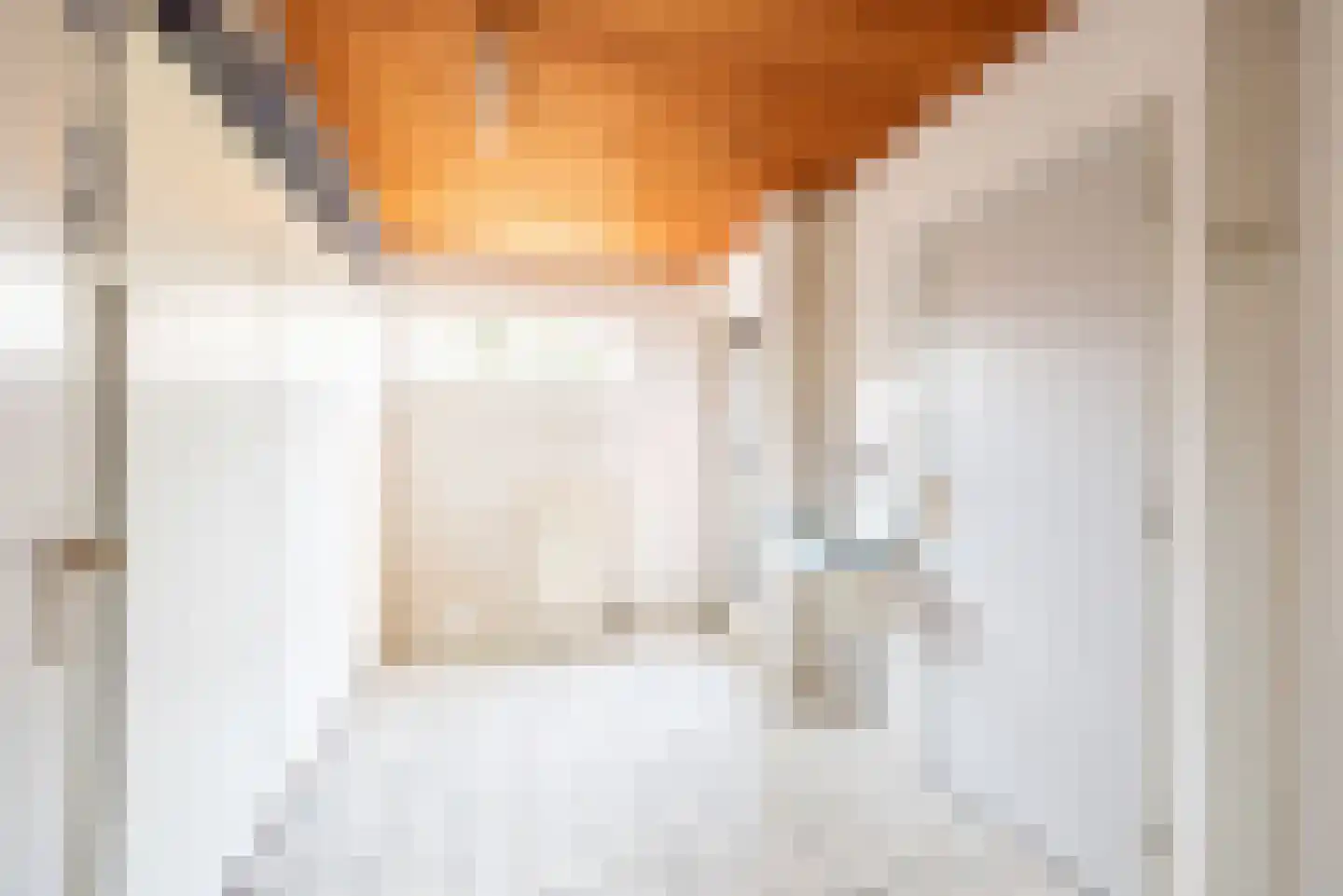 Aaldersbeeklaan 104 Dinxperlo thumbnail 19
