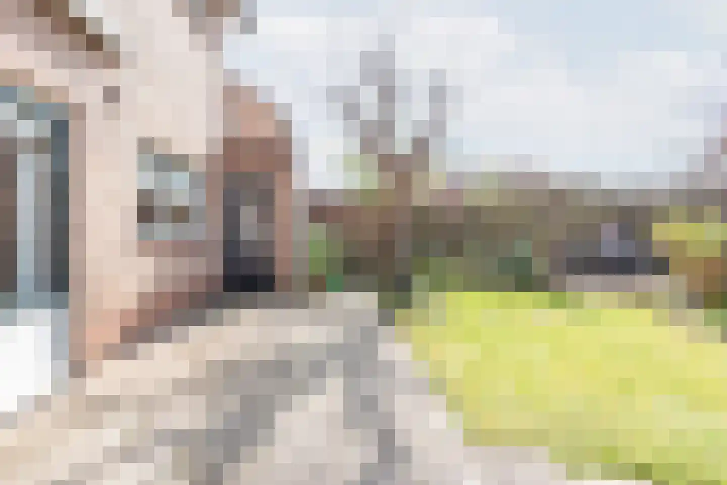 Aaldersbeeklaan 104 Dinxperlo thumbnail 40