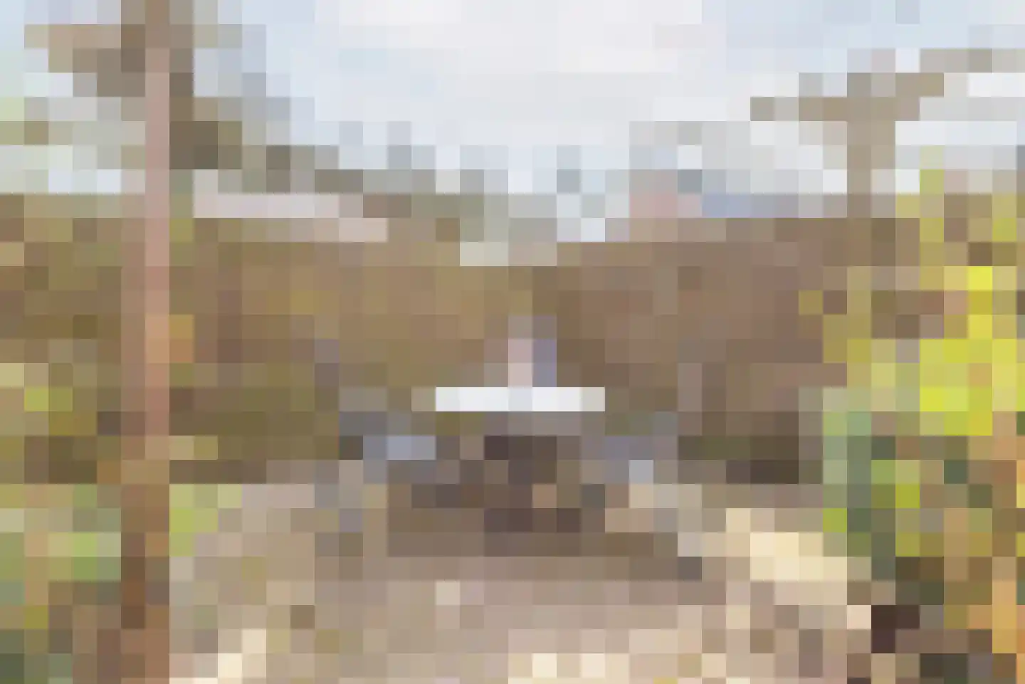 Aaldersbeeklaan 104 Dinxperlo thumbnail 41