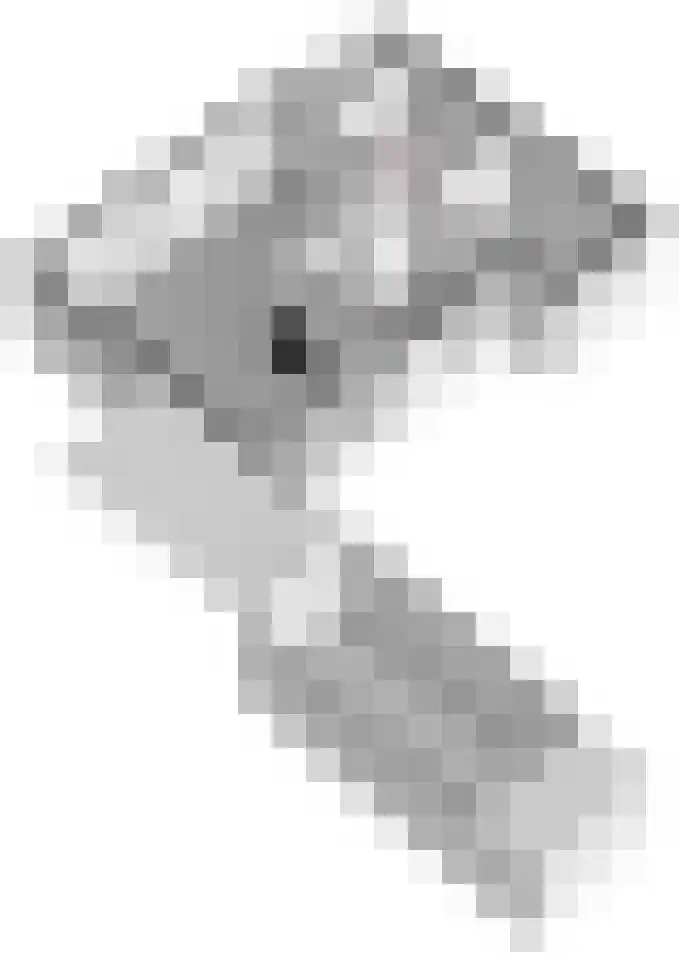 Aaldersbeeklaan 104 Dinxperlo thumbnail 60