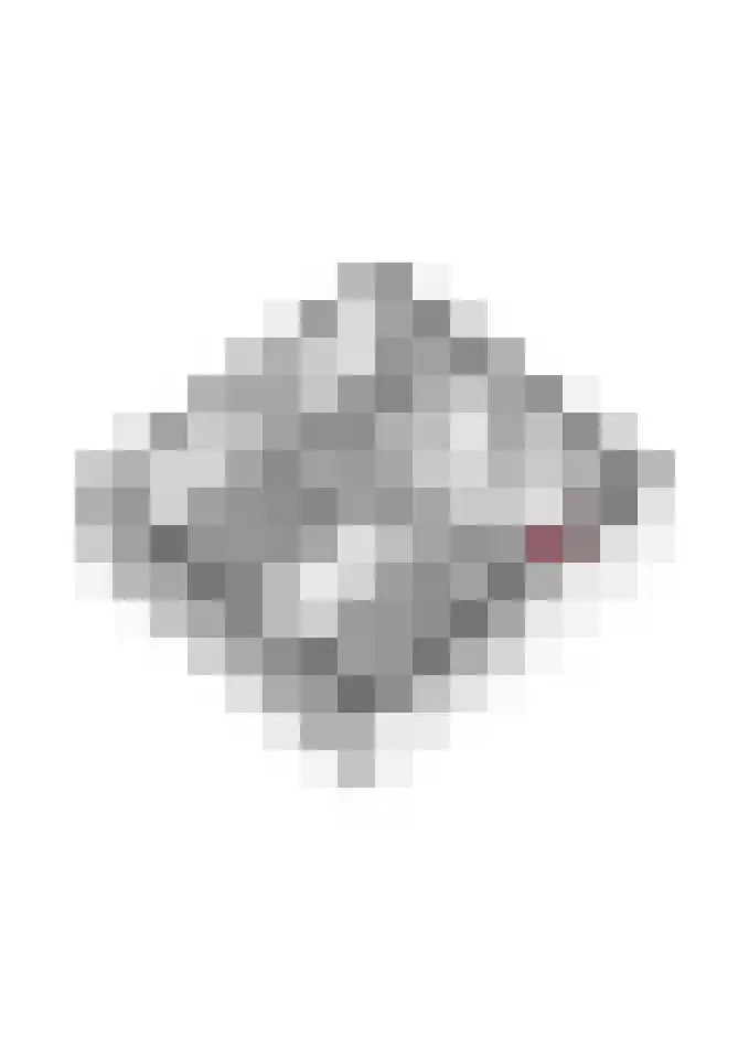 Aaldersbeeklaan 104 Dinxperlo thumbnail 61