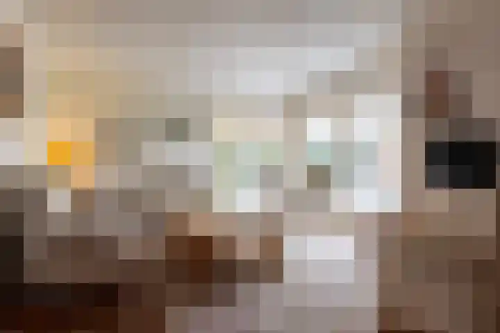 Aaldersbeeklaan 155 Dinxperlo thumbnail 10