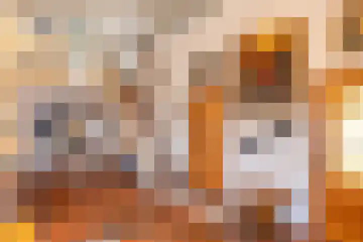 Aaldersbeeklaan 155 Dinxperlo thumbnail 11