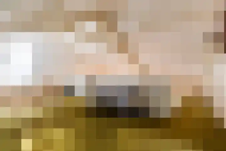Aaldersbeeklaan 155 Dinxperlo thumbnail 15