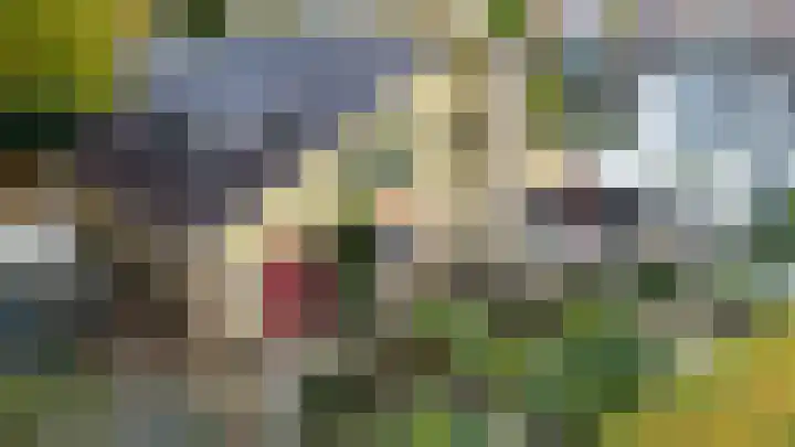 Aaldersbeeklaan 155 Dinxperlo thumbnail 20