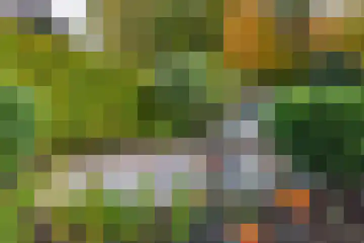 Aaldersbeeklaan 155 Dinxperlo thumbnail 21