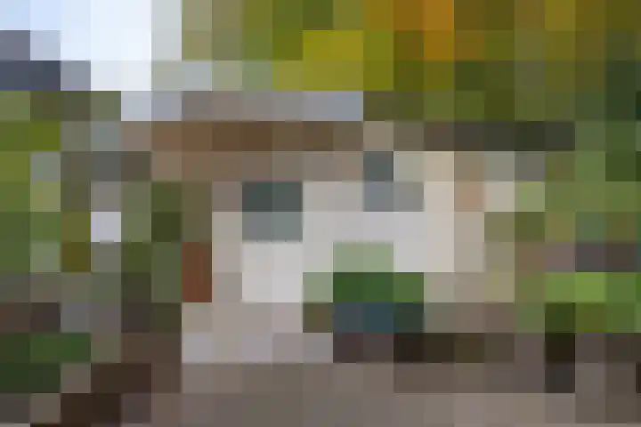 Aaldersbeeklaan 155 Dinxperlo thumbnail 22
