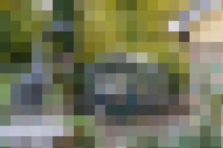 Aaldersbeeklaan 155 Dinxperlo thumbnail 23