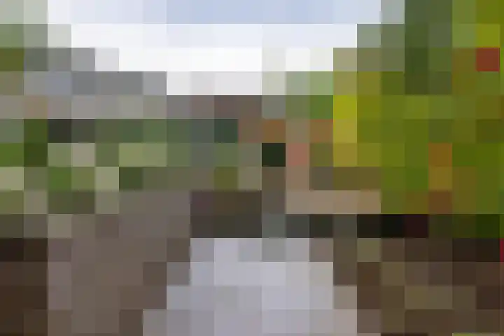 Aaldersbeeklaan 155 Dinxperlo thumbnail 24