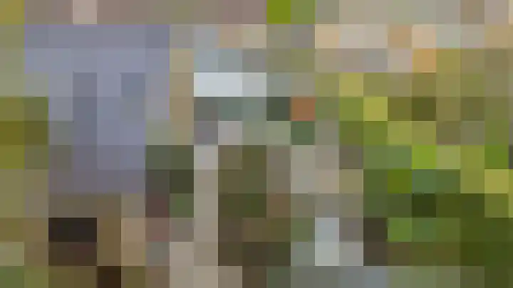 Aaldersbeeklaan 155 Dinxperlo thumbnail 26