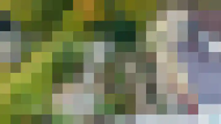 Aaldersbeeklaan 155 Dinxperlo thumbnail 27