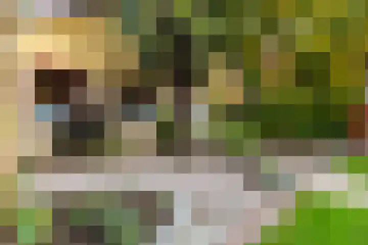 Aaldersbeeklaan 155 Dinxperlo thumbnail 28