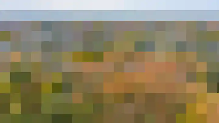 Aaldersbeeklaan 155 Dinxperlo thumbnail 30