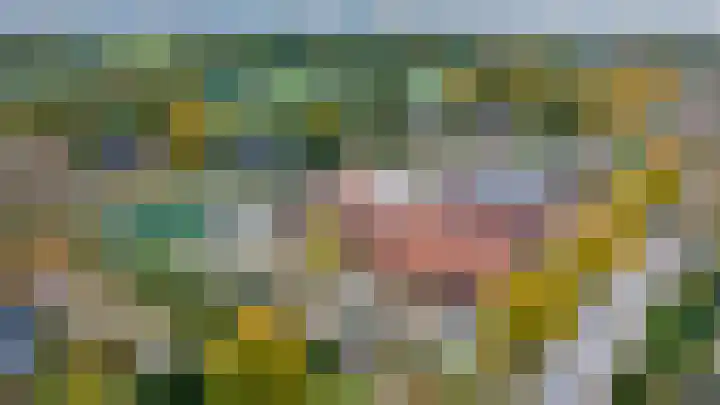Aaldersbeeklaan 155 Dinxperlo thumbnail 31