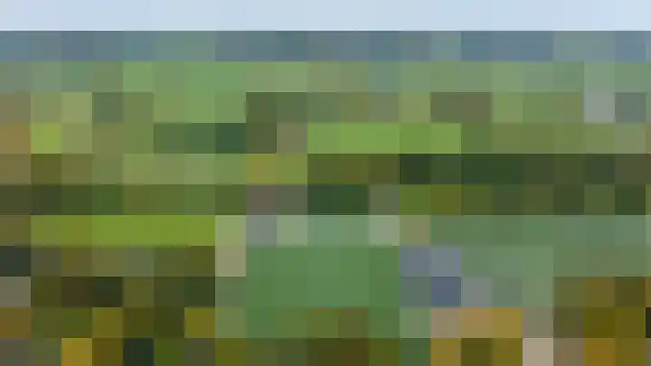 Aaldersbeeklaan 155 Dinxperlo thumbnail 32