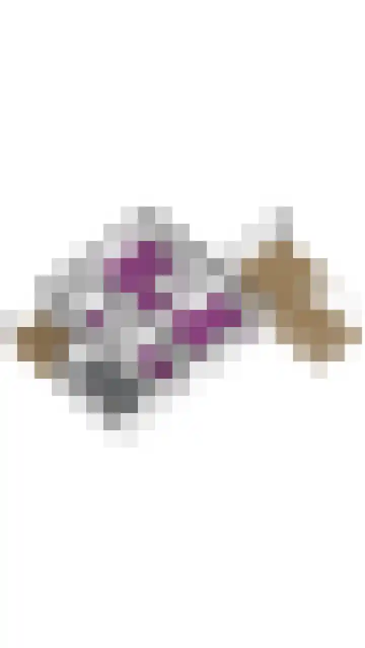 Aaldersbeeklaan 155 Dinxperlo thumbnail 39