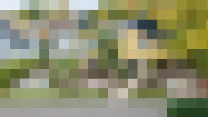 Aaldersbeeklaan 155 Dinxperlo thumbnail 4