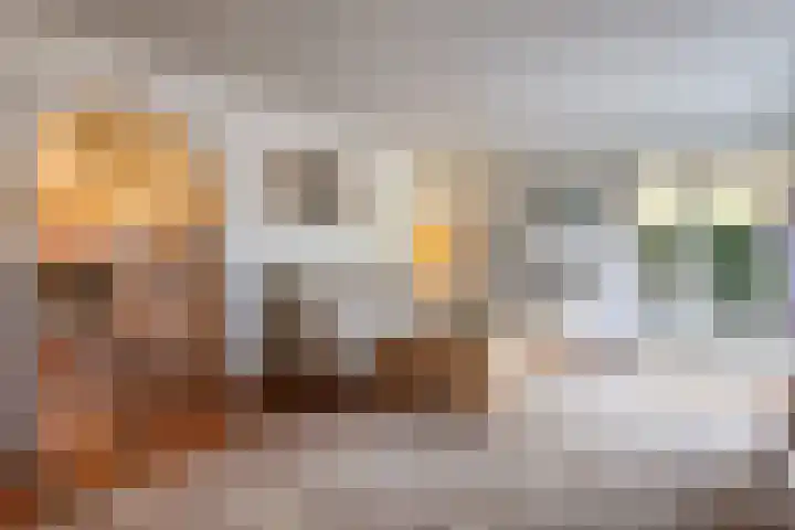 Aaldersbeeklaan 155 Dinxperlo thumbnail 9