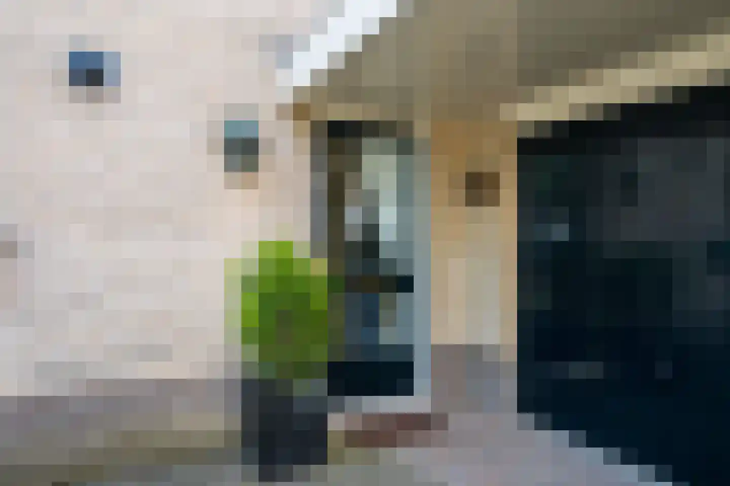Aaldershuuslaan 46 Dinxperlo thumbnail 10