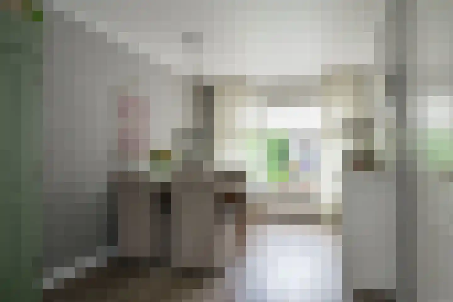 Aaldershuuslaan 46 Dinxperlo thumbnail 17
