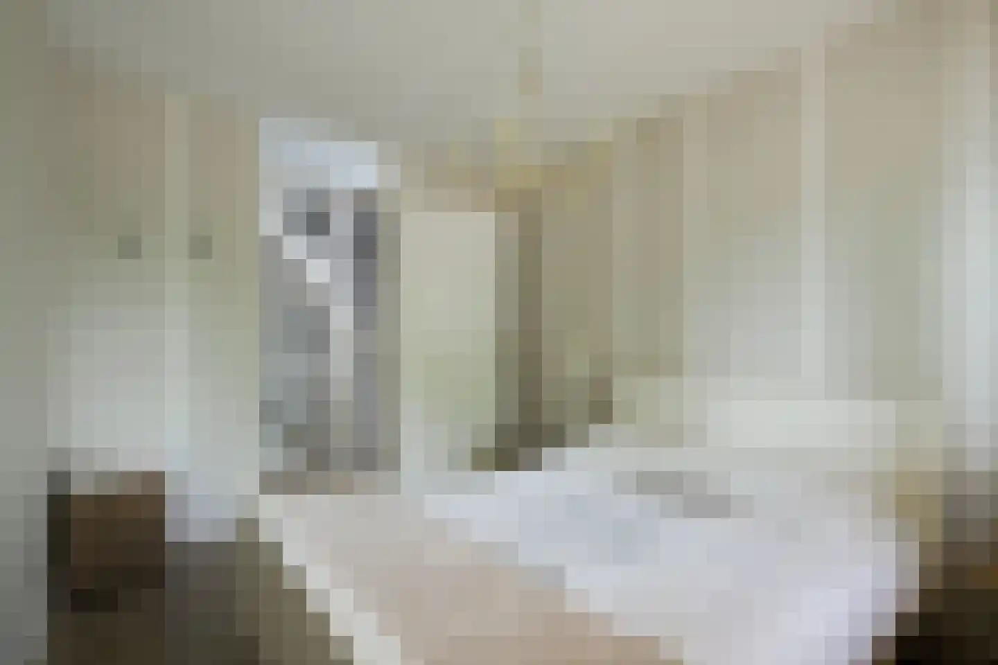 Aaldershuuslaan 46 Dinxperlo thumbnail 25