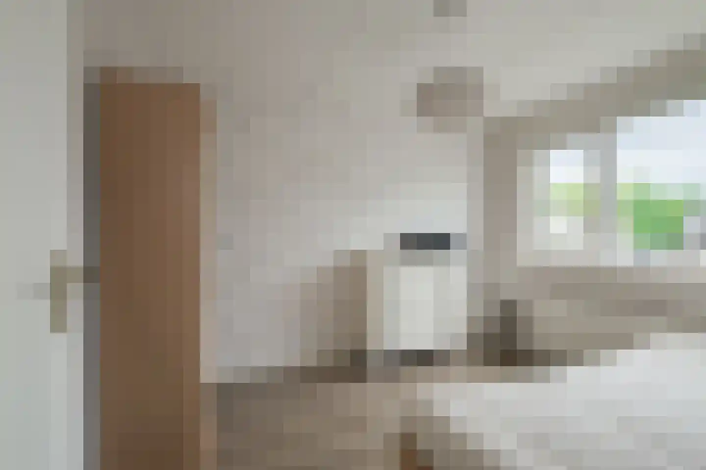 Aaldershuuslaan 46 Dinxperlo thumbnail 26