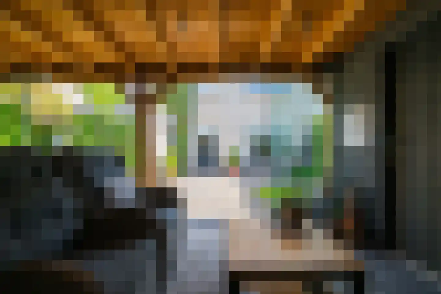 Aaldershuuslaan 46 Dinxperlo thumbnail 41