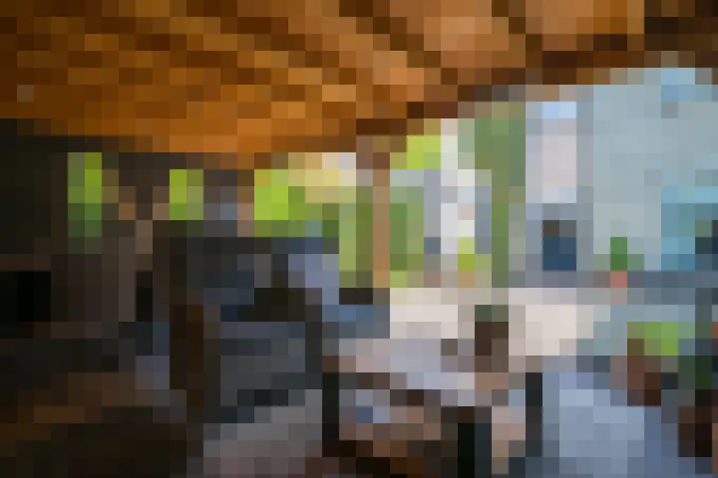 Aaldershuuslaan 46 Dinxperlo thumbnail 42