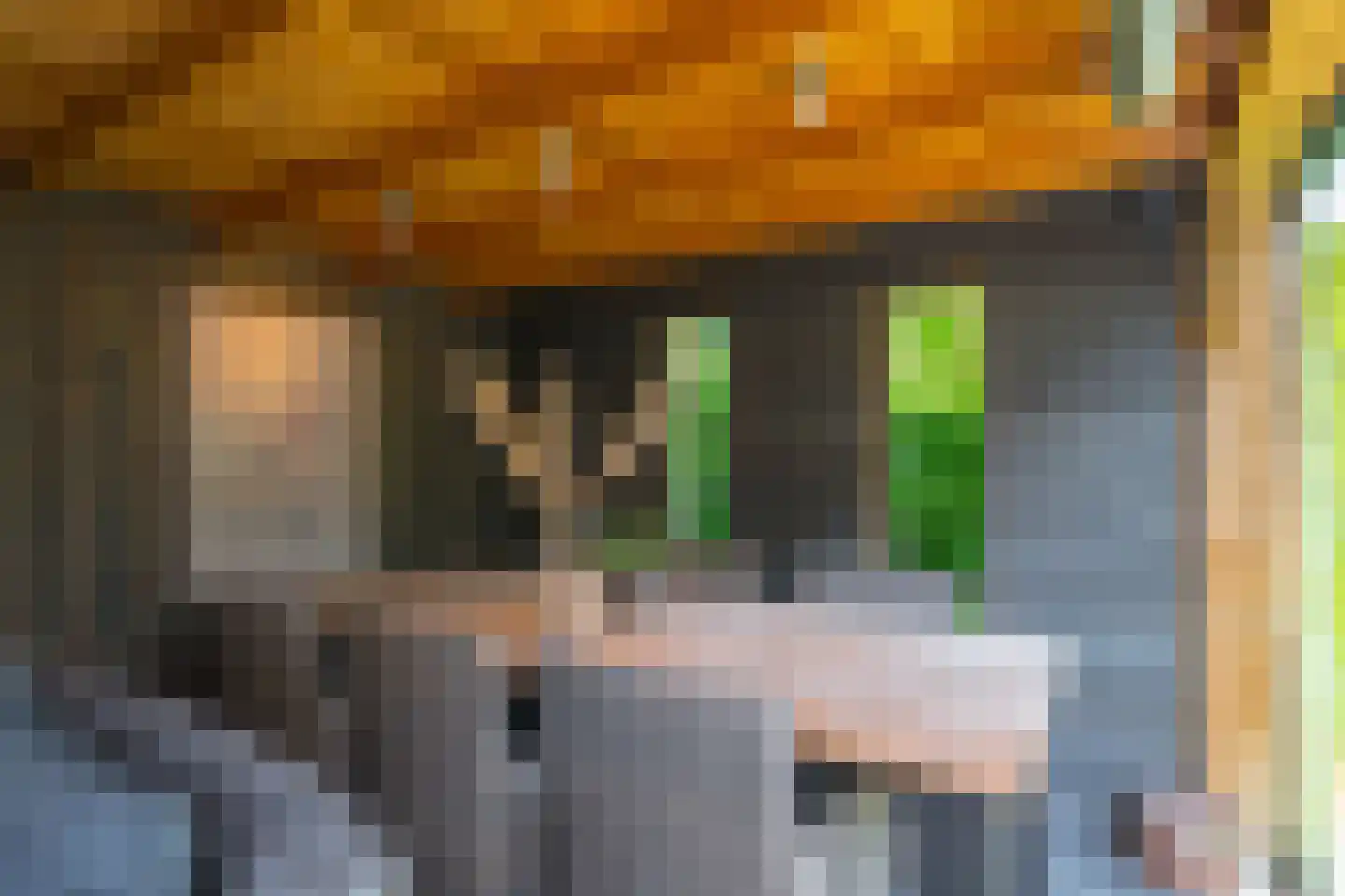 Aaldershuuslaan 46 Dinxperlo thumbnail 43