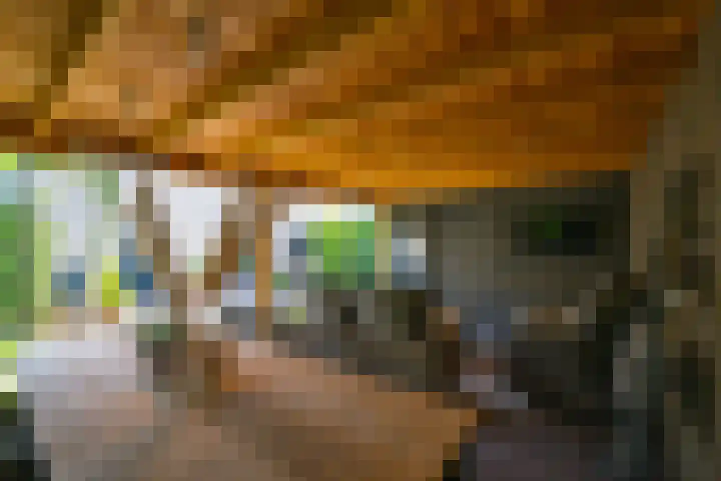 Aaldershuuslaan 46 Dinxperlo thumbnail 44