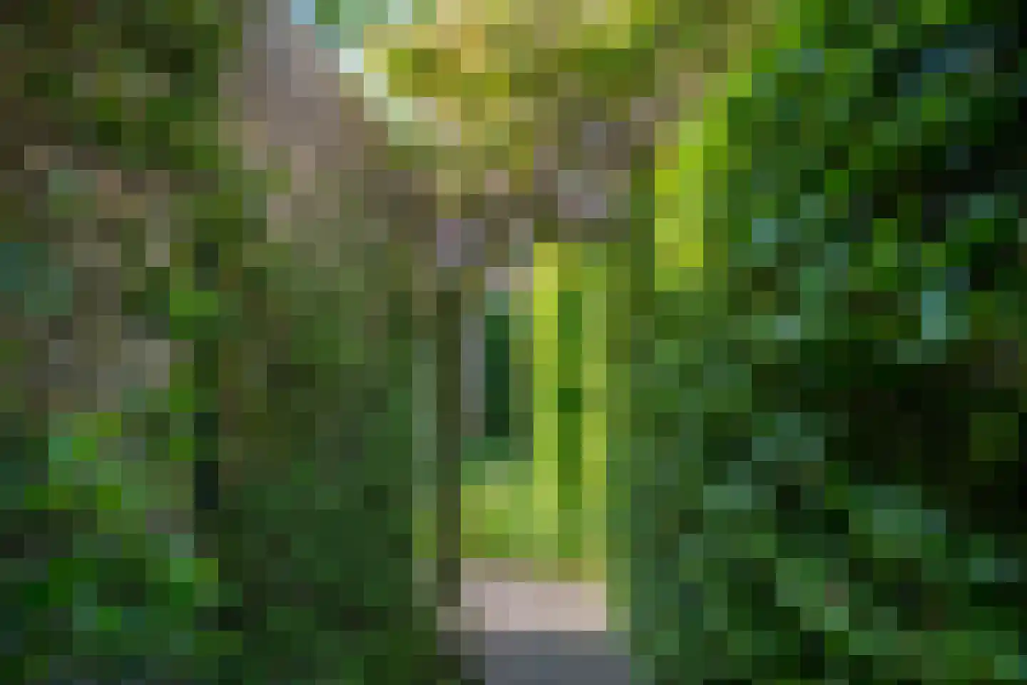 Aaldershuuslaan 46 Dinxperlo thumbnail 47
