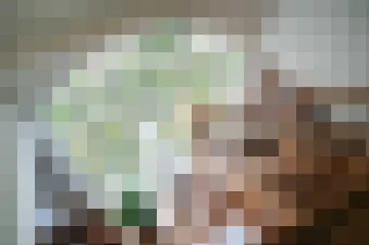 Aaldert 12 A Bergharen thumbnail 15
