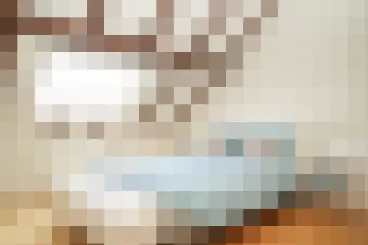 Aaldert 12 A Bergharen thumbnail 16