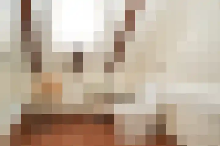 Aaldert 12 A Bergharen thumbnail 19