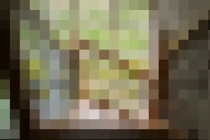 Aaldert 12 A Bergharen thumbnail 28